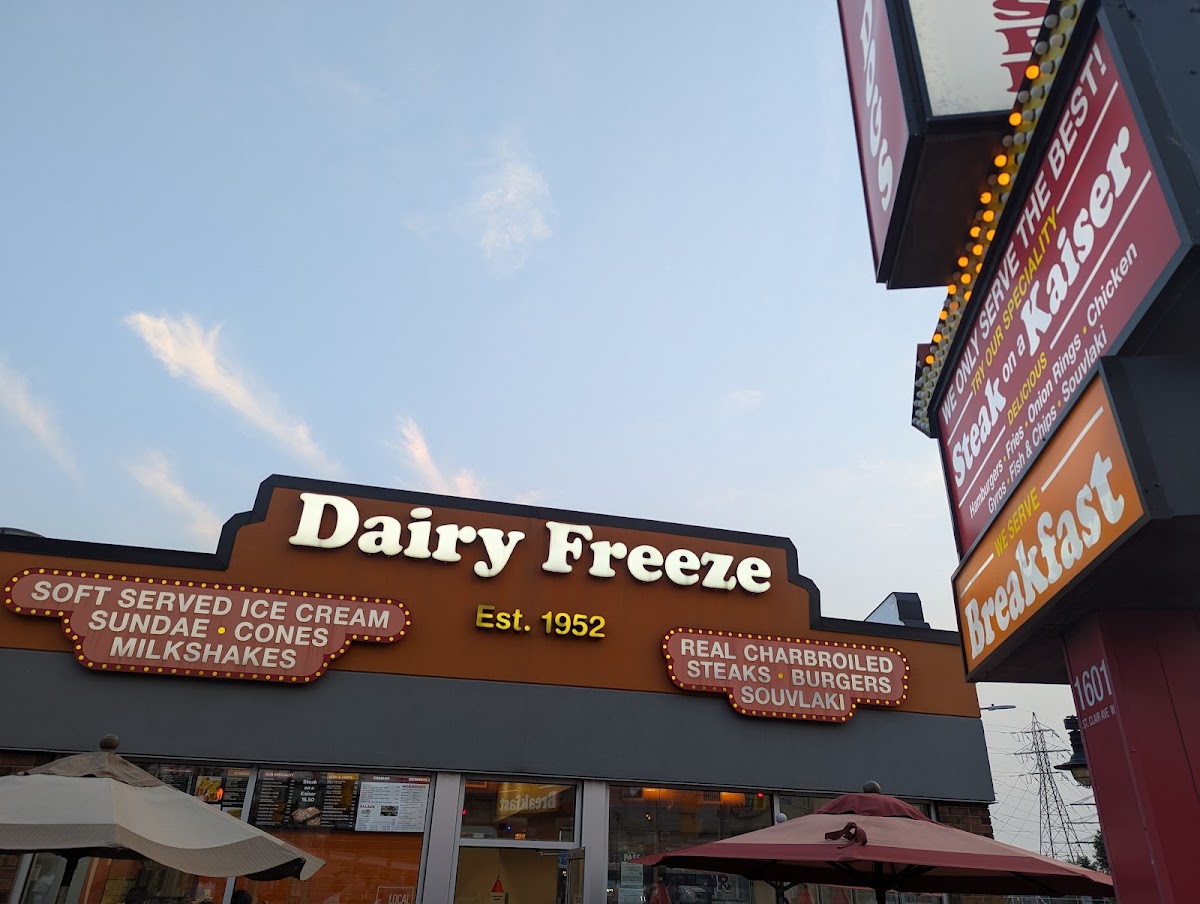 Dairy Freeze